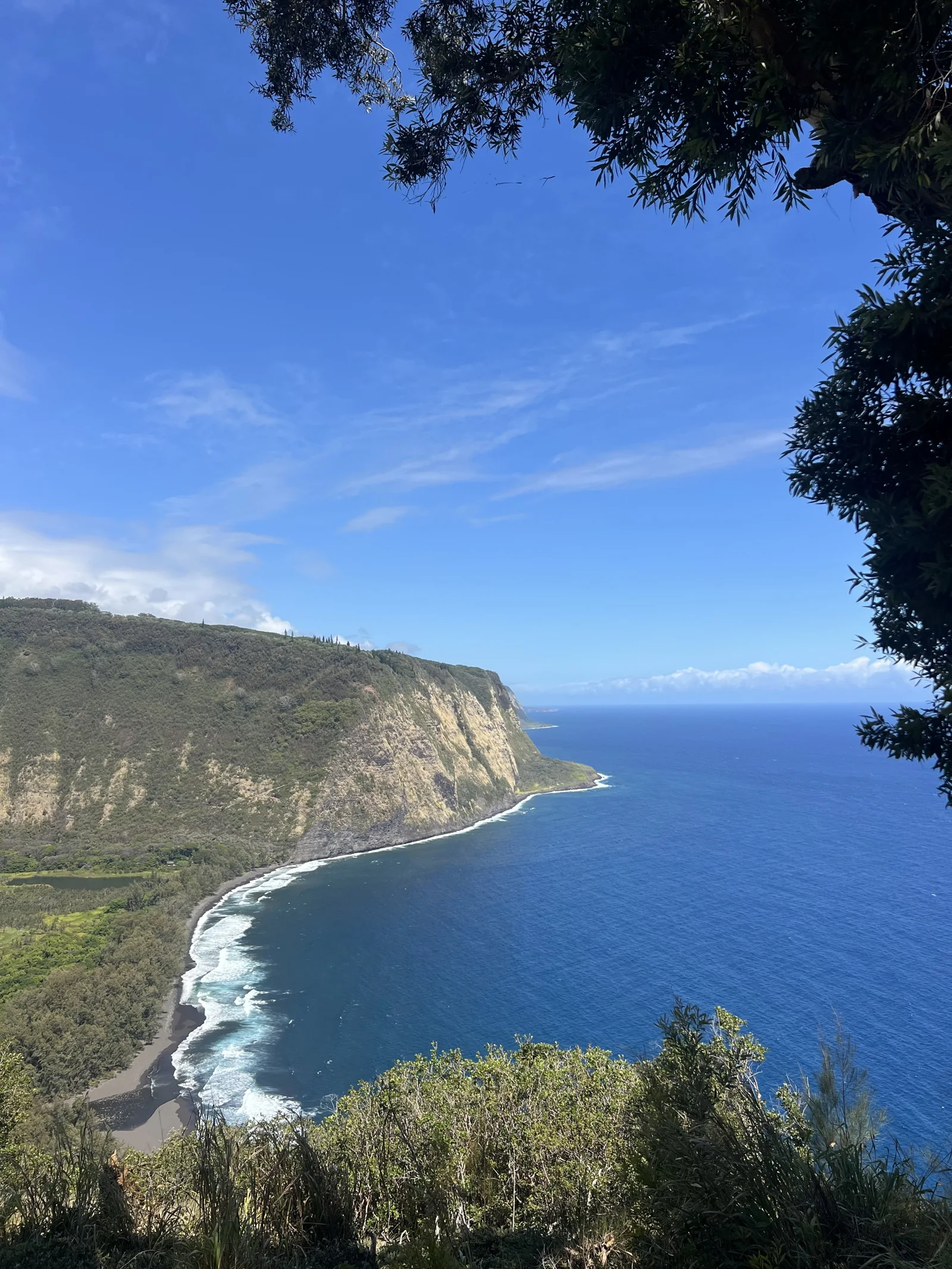 The blue Pacific Ocean meeting the green cliffs of Hawaii’s Waipiʻo Valley